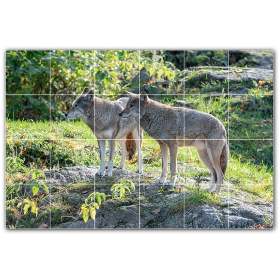 Picture-Tiles.com: Wolf Ceramic Tile Wall Mural WAL501236-64S. 25.5"W x 17"H using (24) 4.25" x 4.25" Ceramic Tiles-Satin Finish