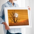thumbnail image 2 of Sunset Through The Tree Silhouette - Digital Art Sunset Silhouette Desert Nature Scenic Autumn Minimalist White Framed Wall Art Print 12 x 16 inches, 2 of 4