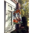 thumbnail image 3 of Carolines Treasures PPP3167CHF Schnauzer Thanksgiving Pilgrims Flag Canvas House Size  Large multicolor, 3 of 4