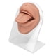 thumbnail image 2 of Modelo de exhibición de lengua, modelo de lengua humana, molde de boca de lengua blanda, modelo de lengua de primera línea, 2 of 14