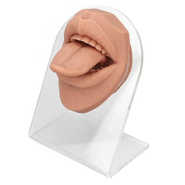 Modèle de Bouche de Langue Humaine Modèle d'Affichage de Langue Modèle de Langue Modèle de Langue Humaine Silicone Souple Support Acrylique Réaliste Modèle de Bouche pour Présentation de Bijoux Blond Chair