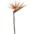 thumbnail image 2 of Allstate Floral GTB553-OR 36 in. Silk Bird of Paradise Flower Spray, Orange - Pack of 24, 2 of 3