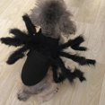 thumbnail image 2 of Divertido disfraz de fiesta para perros y gatos, sudadera con arañas, ropa para Halloween, 2 of 5