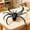 A, variant on Spiders Halloween Decorations Set, Artificial Black Spider Decoration Realistic for Party, Spider Props for Party Event, Halloween Spider Decor