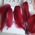 thumbnail image 3 of Clearance Under $1 Pedty 50 Feathers,50 Pcs Colourful For Wedding Party Flower Arrangement Home Decoration Diy Middle Floating Plume For Hair Cat Stick Clothing Craft Decoration,Office Cabinet, 3 of 3