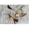 thumbnail image 2 of Butcher, Sarah 24x17 White Modern Wood Framed Museum Art Print Titled - Magnolia1, 2 of 4