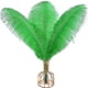 thumbnail image 1 of Xiao Hua Plumas de avestruz verdes, 12 unidades, grandes, naturales, a granel, de 30 a 35 cm, para centros de mesa de bodas, fiestas, Pascua, Gatsby y decoración del hogar., 1 of 4