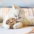 thumbnail image 4 of Catnip toys kitten teeth cleaning tools cat chew toys, 4 of 5