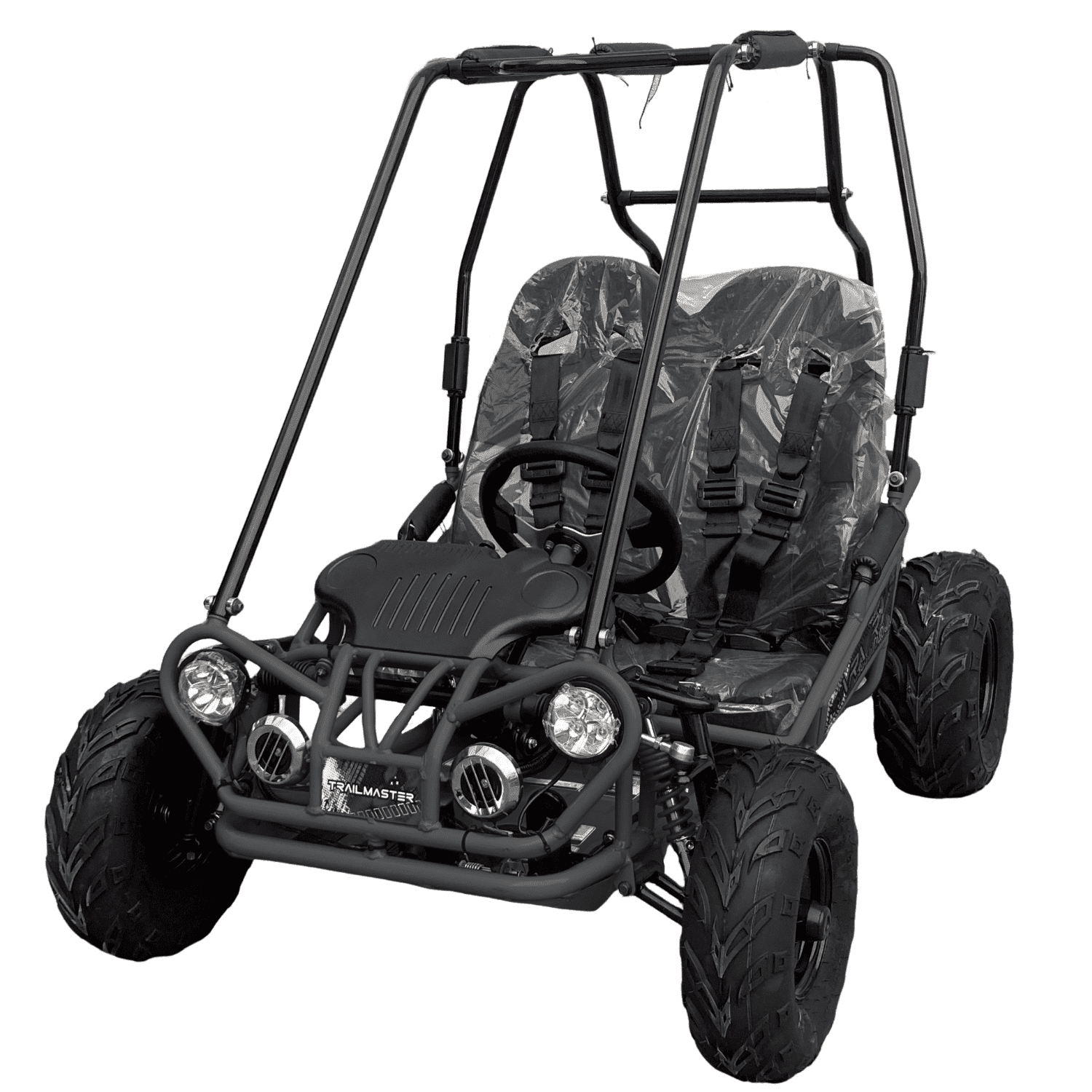 2/2まで キロミ Coleman PowerSports, Gas Powered Go-Kart, GK200, Two-Seater Off