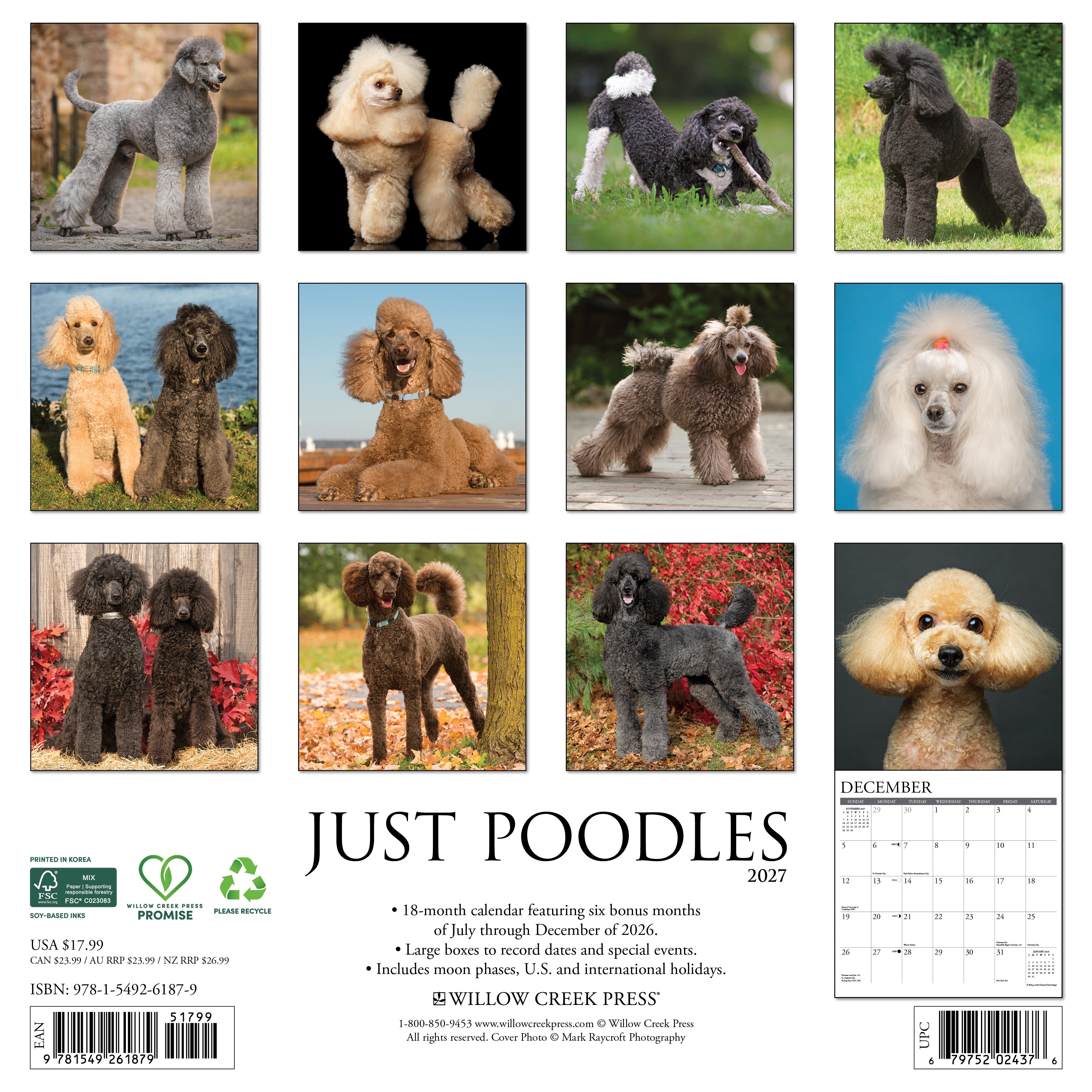 Willow Creek Press, Poodles 2027 Wall Calendar