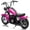 Rose Red, variant on 24V 250W Kids Electric Dirt Bike - Electric Motorcycle with 2 Speed Up to 14 MPH, 60 Min Ride Time, LED Light, Off-Road Dirt Bike for Boys & Girls Ages 6-12