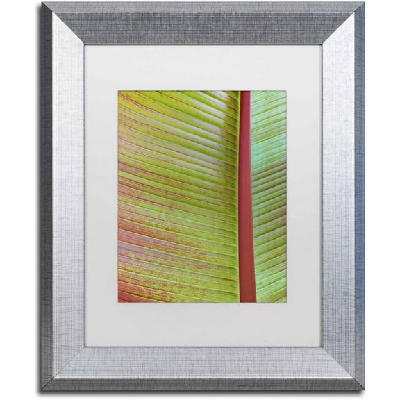 Trademark Fine Art Abstract Matted Framed Art ' Leaf Texture VI ' by Cora Niele