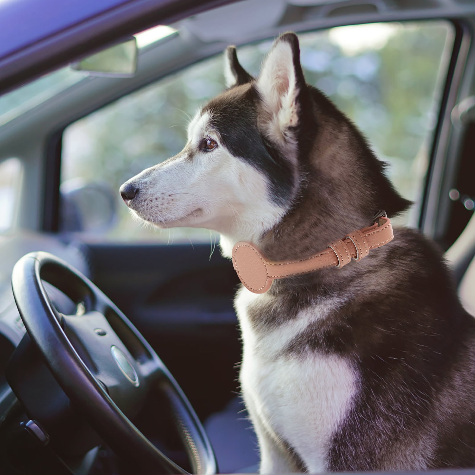 NICEXMAS Adjustable PU Cat Collar with Storage Case for Cats and Small Dogs