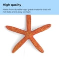 thumbnail image 5 of biOrb Red Starfish Set - Small Aquarium Decor, 5 of 10
