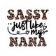 thumbnail image 2 of Camiseta de niña 100 % algodón con estampado "Sassy Just Like My Nana", top informal y cómodo, camiseta de verano con cuello redondo y manga corta, el mejor regalo para niño y niña., 2 of 7