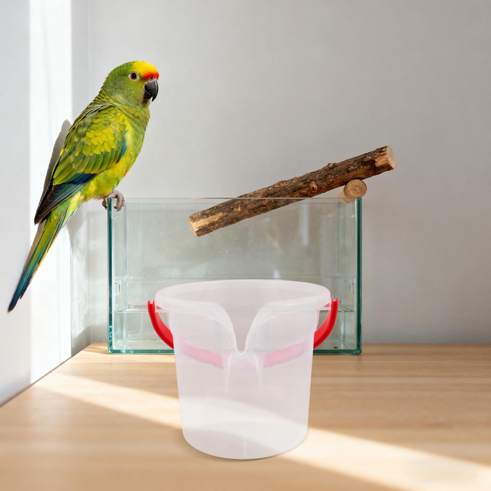 BESTYASH Clear Outdoor Bird Seed Feeder with Spill-Resistant Pourer and Convenient Portable Handle for Garden Bird Feeding