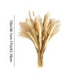 thumbnail image 3 of Dried Pampas Grass Decor Set – Faux Bunny Tails and Pampas Grass Bundle for Boho Home Table Wedding Farmhouse Party Decoration, 3 of 6