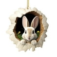 thumbnail image 2 of 10Pcs Easter Tree Hole Ornament! Yrmaups Easter Decorations Tree Hole Ornament, Acrylic Easter Bunny Hanging Decoration With Rope, Flat Easter Egg Ornaments for Easter Tree and Holiday Home Decor,, 2 of 5