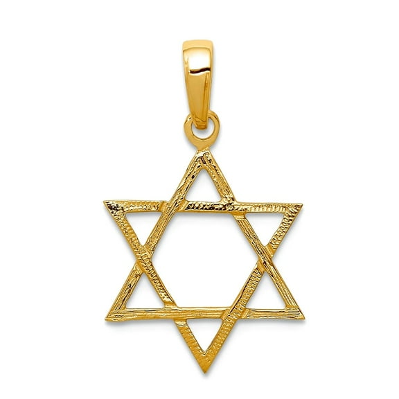 10k Gold Religious Judaica Star of David Pendant Necklace 25x15mm Wide Pendant for Women - .5 Grams