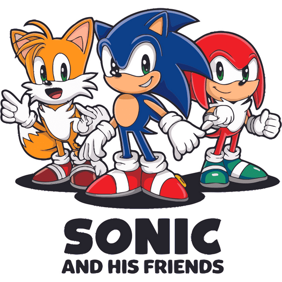 Service with the Speed of Sound Hedgehog His Friends Adventurous Quote Holiday Gift Sticker Wall Stickers Art Decal Decoration Girls Boys Birthday - Size: 18 In(W) x 20 In(H)