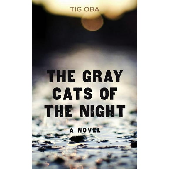 The Gray Cats of the Night (Paperback)