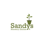 Sandys Nursery Online Hibiscus Cajun Color Bienvenue