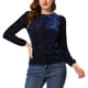 thumbnail image 1 of Allegra K Women's Dots Prints Velvet Burn-Out Long Puff Sleeve Blouse XL Blue-Floral, 1 of 5