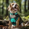 thumbnail image 2 of Reflective Dog Collar,Soft Neoprene Padded Breathable Nylon Pet Collar Adjustable for Large Dogs,Teal,L, 2 of 18