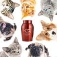 thumbnail image 5 of Urnas de acero inoxidable multicolor para mascotas, urnas para cenizas de cremación para perros, gatos, pájaros y ratones, suministros funerarios sellados para perros, tarro de recuerdo para mascotas, 5 of 5