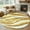 Gold, variant on Purple Waves Area Rug 4x6 Washable Rug Non Slip Ombre Sea Ripples Shabby Beach Large Area Rug Indoor Floor Carpet for Entryway Bedroom Kitchen Living Room Home Office Dining Room Nursery