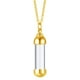 thumbnail image 4 of Tubo de vidrio transparente Yuyangstore medallón collares 2 uds plata oro, 4 of 8