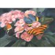 thumbnail image 1 of Pintura de diamante (DE5149) Flor de mariposa 5D DIY Rhinestone Imagen de casa redonda completa 20X30cm Hugtrwg Para estrenar, 1 of 1