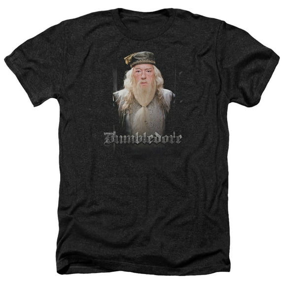 Harry Potter - Dumble Doors - Heather Short Sleeve Shirt - Large