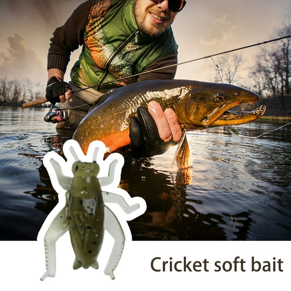 sunsanly 20Pcs 2.5cm/0.6g Soft Lures Realistic Looking Reusable Compact High Toughness Increase Fishing Rate Mini Flexible Insect Cricket Fishing Lures Angling Baits Fishing Supplies