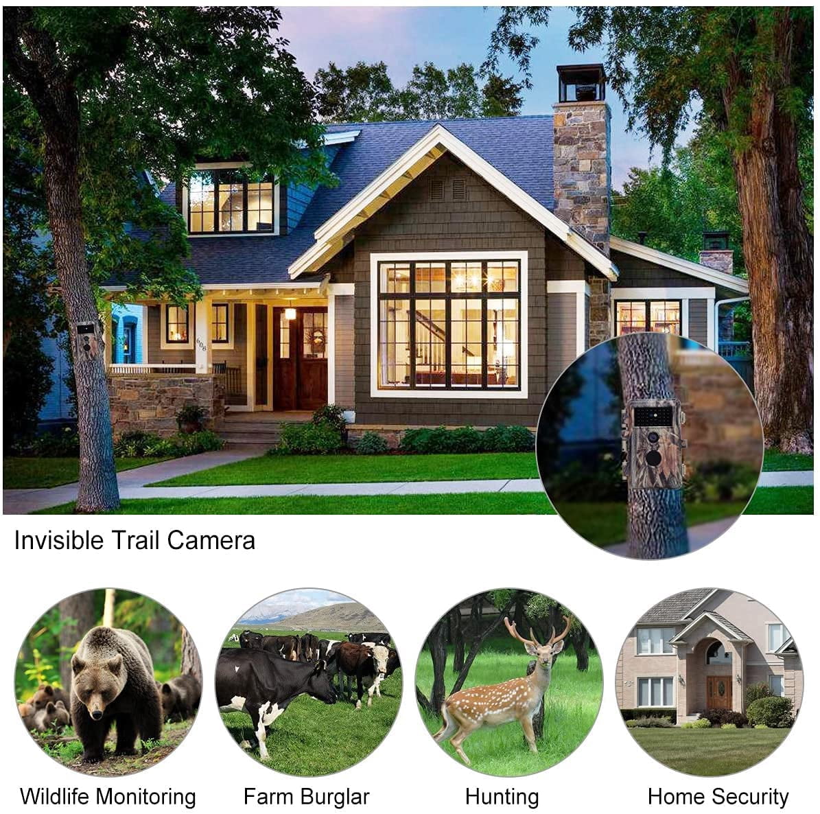 BlazeVideo 2-Pack Game Trail Camera 24MP Full HD 1296P H.264 Video with Night Version for Outdoor Wildlife Deer Hunting with No Glow Infrared Photo and Video Model