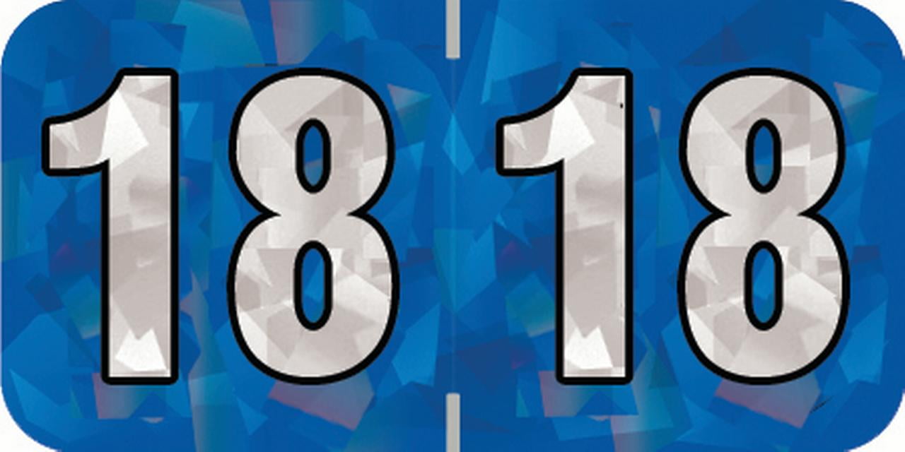 PMA Compatible 2018 Year Labels, Holographic Blue, 500/Roll ...