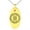 Gold, variant on Stainless Steel Vegvisir Web of Wyrd Skuld’s Net Viking Engraved Small Oval Charm Pendant Necklace