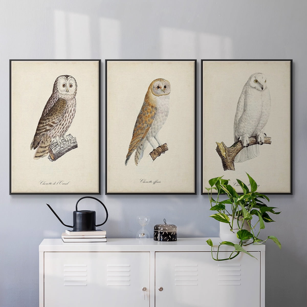 French Owls IV - Framed Premium Gallery Wrapped Canvas L Frame 3 Piece Set - Ready to Hang