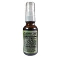 thumbnail image 3 of Vitality Works Digestive Bitters Mint Spray, 1 fl oz - Natural Digestive Support, 3 of 5