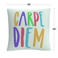 thumbnail image 2 of Typographic Modern Carpe Diem Color By Abc 16 X 16 Decorative Throw Pillow, 2 of 4