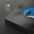 thumbnail image 4 of wall26 3 Panel Canvas Wall Art - Color Splash of Blue Bird with Black and White Background - Giclee Print Gallery Wrap Modern Home Art Ready to Hang - 16"x24" x 3 Panels, 4 of 5