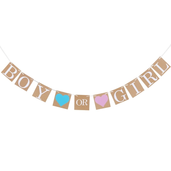 ETEREAUTY Gender Reveal Bunting Banner Assorted Color Recyclable Paper Party Decor