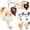 Cat Claw(Whole Set 6 Boxes), variant on Samuel Meow Meow's Cute Moments Series - Cat Blind Box Pendant Plush,Figure Blind Box Keychain, Random Cute Blind Boxes Figures,Collectible Toys for Gifts(Cat (Single Box))