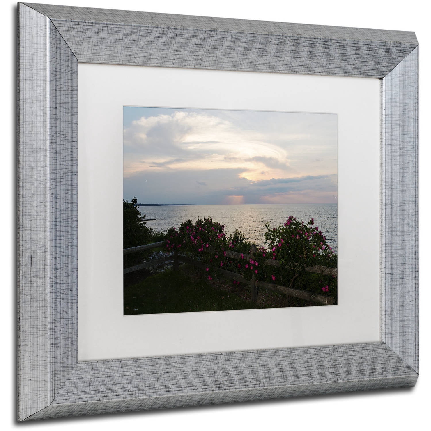 Trademark Fine Art "Roses in Bloom Along the Lake" Canvas Art by Kurt Shaffer, White Matte, Silver Frame