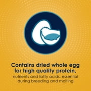 Kaytee Forti-Diet Pro Health Egg-Cite! Nourish+Protect Parakeet Food 5 Pounds