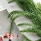 thumbnail image 4 of Fiudx Guirnalda Norfolk, Hojas de Pvc Verde Realistas, Flexible para Moldear, Perfecta para Decoración Navideña y Festiva, Chimenea, Pared, Fiestas Al Aire Libre, 78,74 Pulgadas de Largo, 1 Pieza, 4 of 6