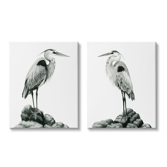 Stupell Industries Great Herons Standing Rocks Black White Bird Portraits, 16 x 20, Design by Grace Popp 