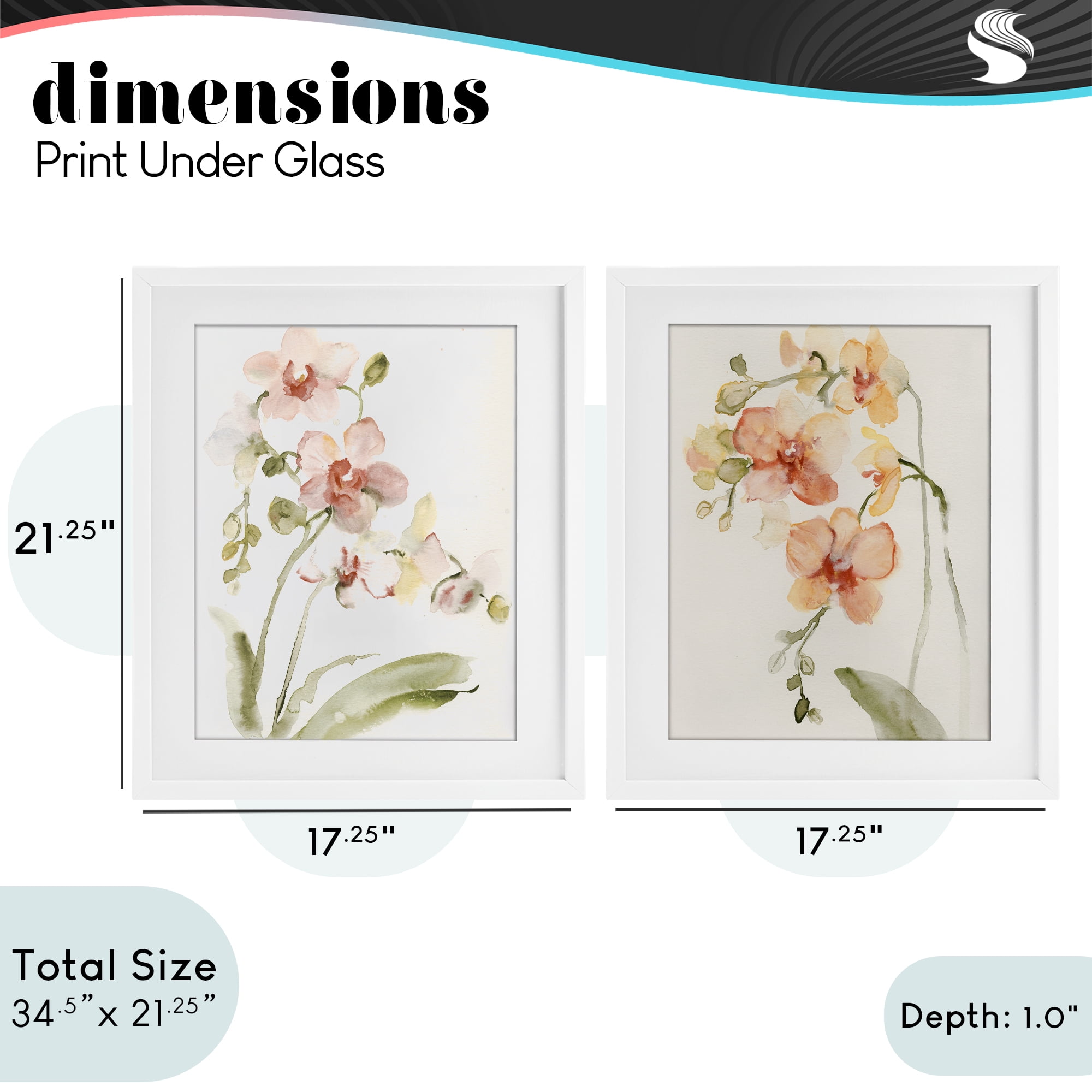 Stupell Industries Delicate Orchids in Bloom 2 Piece White Framed Print Under Glass Set, design by Victoria Barnes