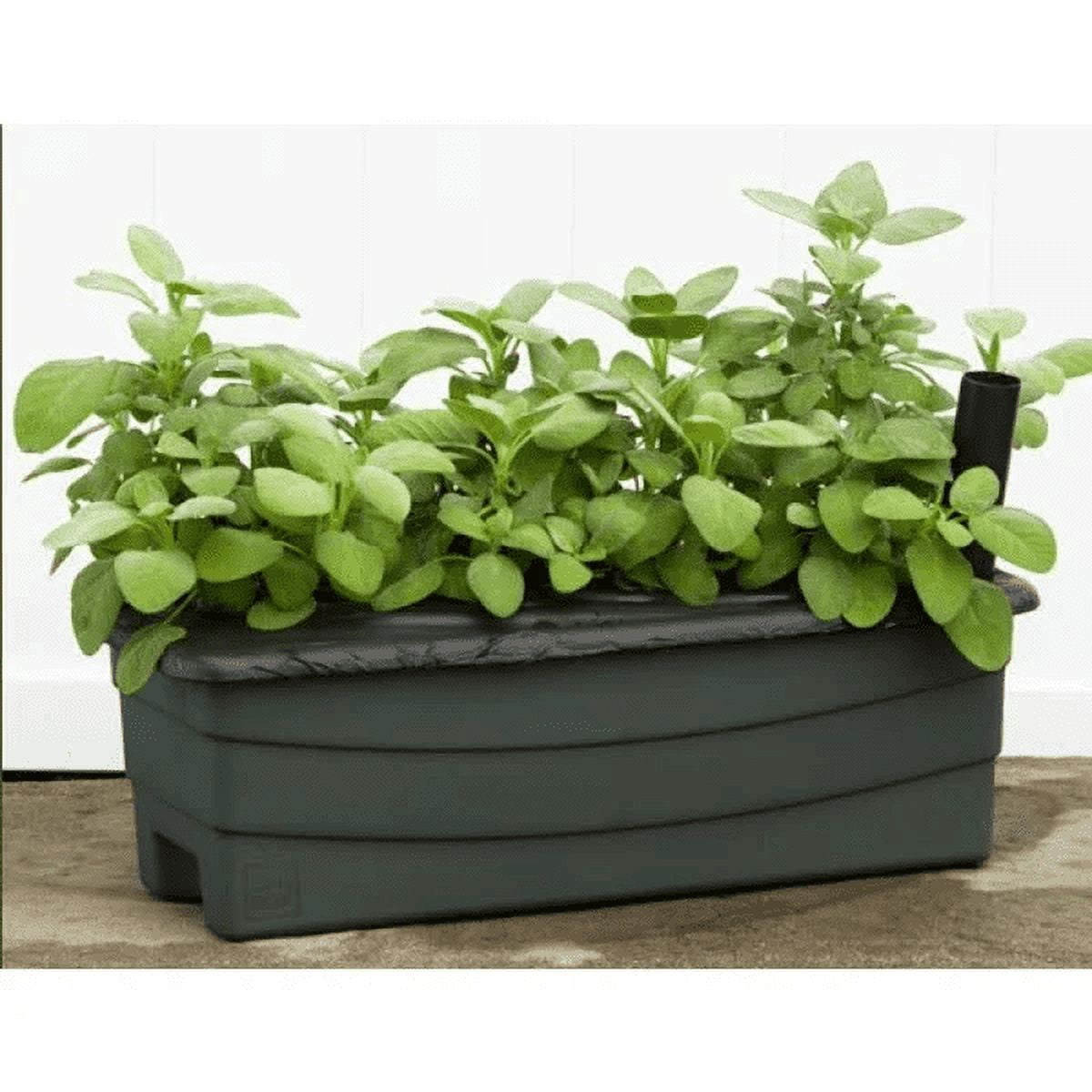 80651 Earthbox Junior Organic Garden Kit, Green
