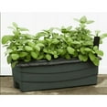 thumbnail image 6 of EarthBox Junior Garden Kit with Standard 7-7-7 Fertilizer - Dark Green, 6 of 6